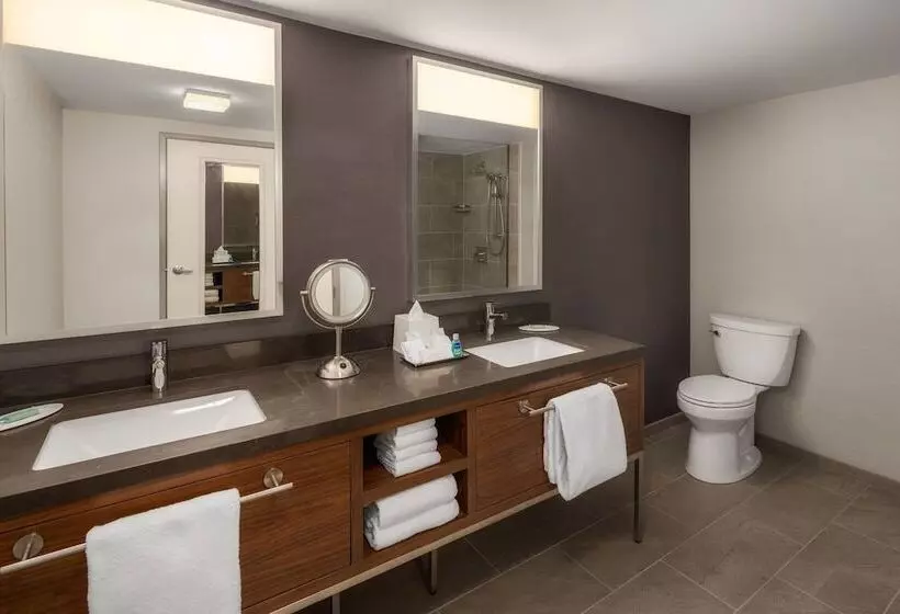 酒店 Courtyard By Marriott Seattle Bellevue/downtown