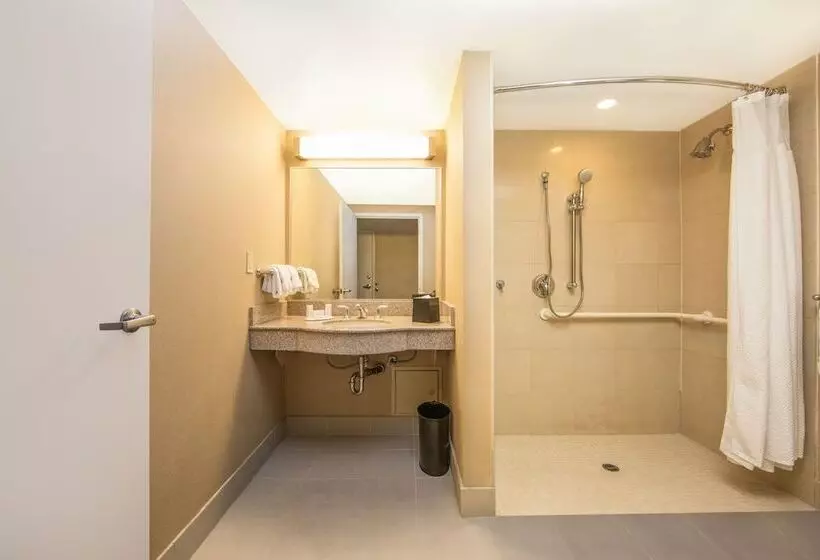 酒店 Courtyard By Marriott Seattle Bellevue/downtown