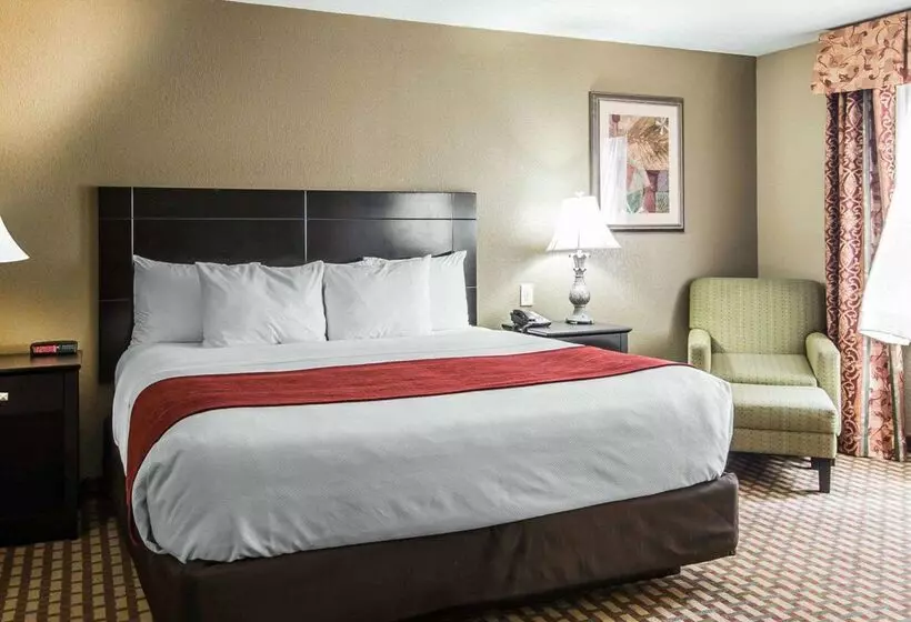 هتل Holiday Inn Kansas City Downtown By Ihg