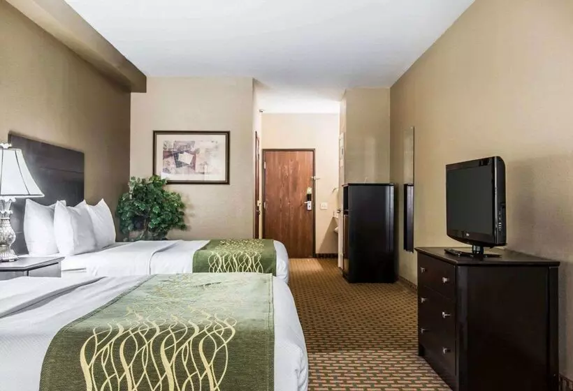هتل Holiday Inn Kansas City Downtown By Ihg