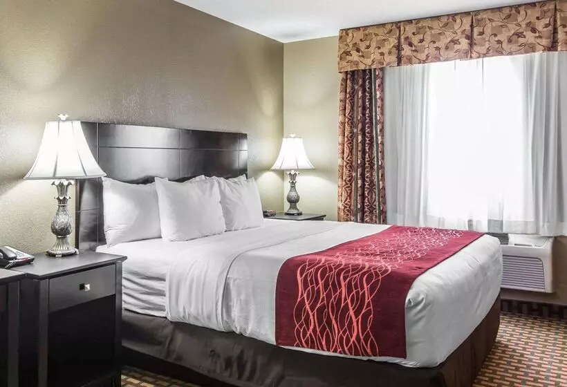 هتل Holiday Inn Kansas City Downtown By Ihg