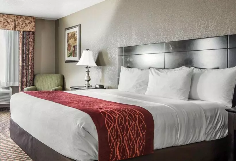 هتل Holiday Inn Kansas City Downtown By Ihg