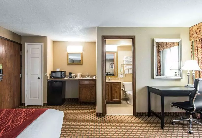 هتل Holiday Inn Kansas City Downtown By Ihg