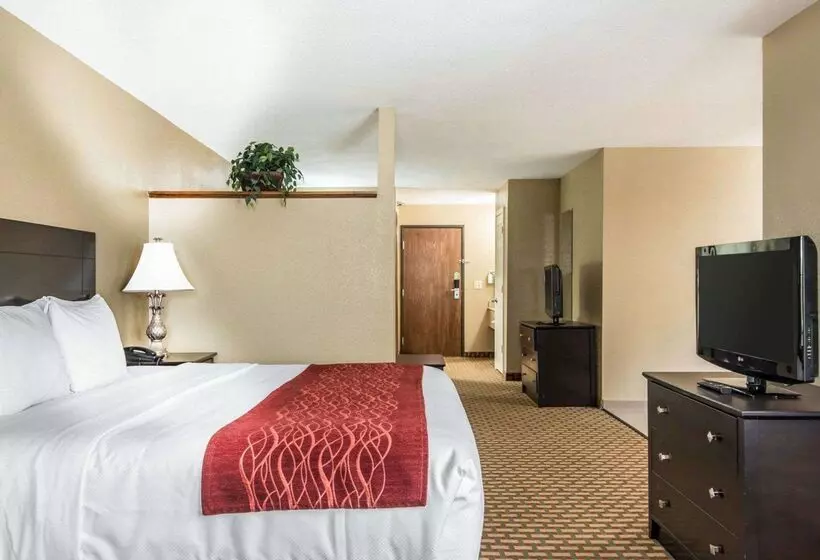 هتل Holiday Inn Kansas City Downtown By Ihg
