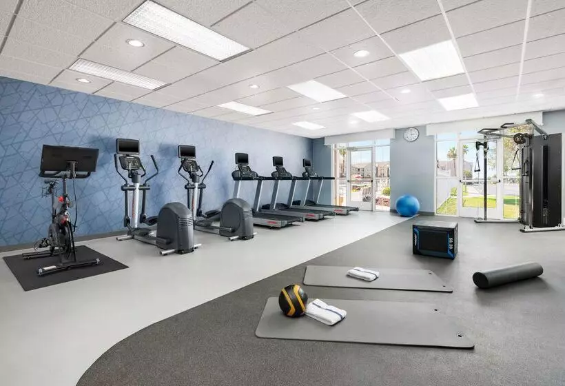 Отель Homewood Suites Corpus Christi