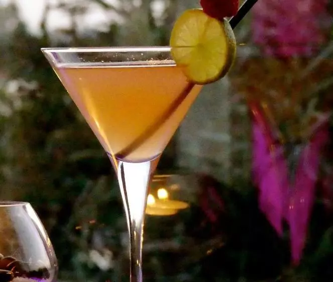 Szálloda Hôtel L  Estelle En Camargue