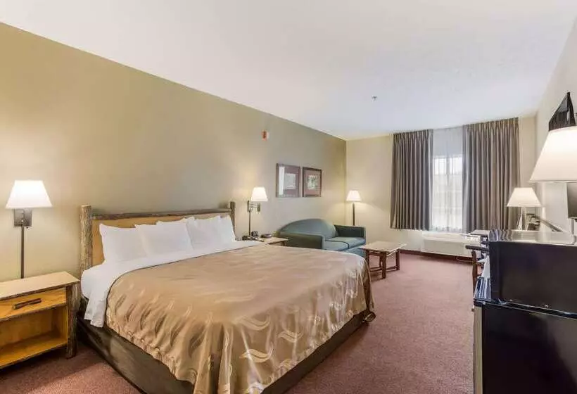 ホテル Quality Inn & Suites