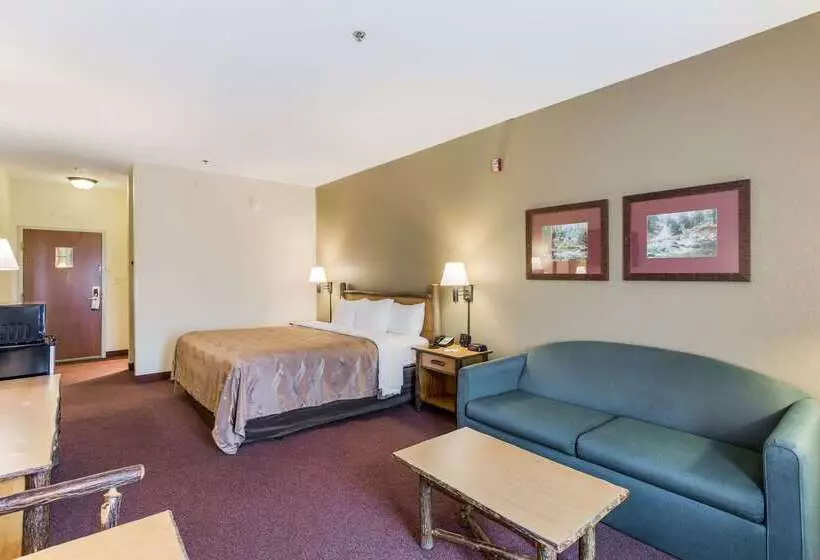 ホテル Quality Inn & Suites