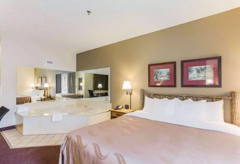 ホテル Quality Inn & Suites