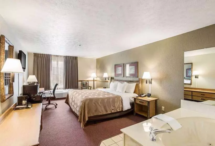 ホテル Quality Inn & Suites