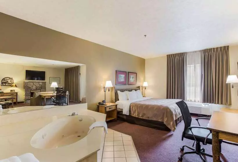 ホテル Quality Inn & Suites