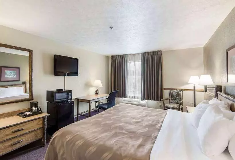 ホテル Quality Inn & Suites