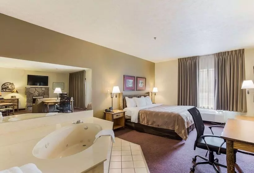 ホテル Quality Inn & Suites