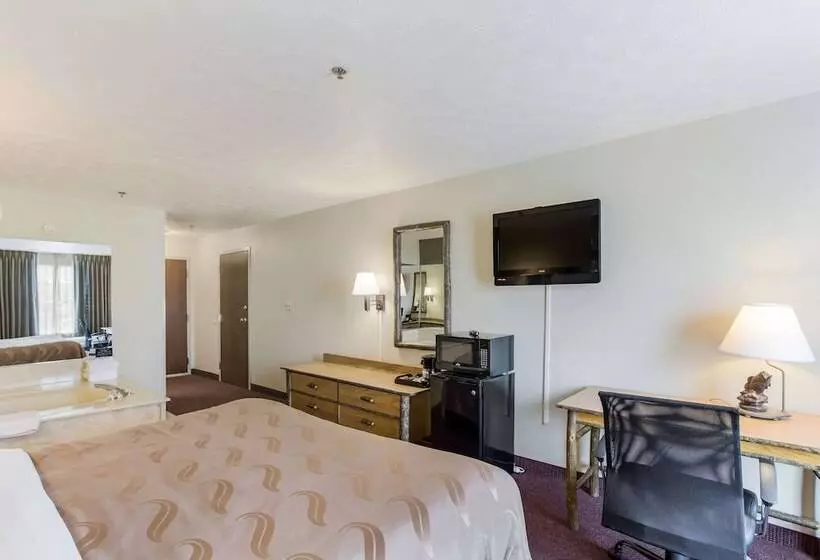 ホテル Quality Inn & Suites