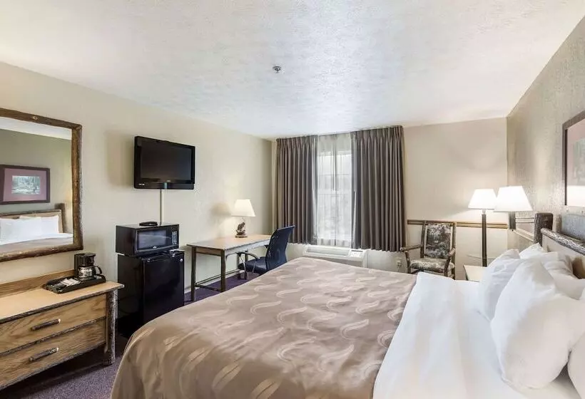 ホテル Quality Inn & Suites