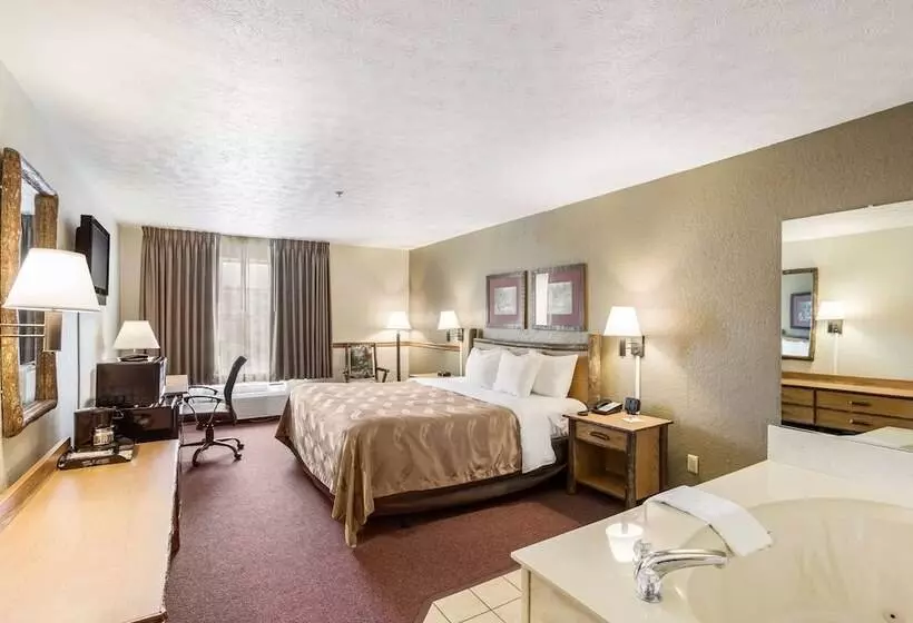 ホテル Quality Inn & Suites