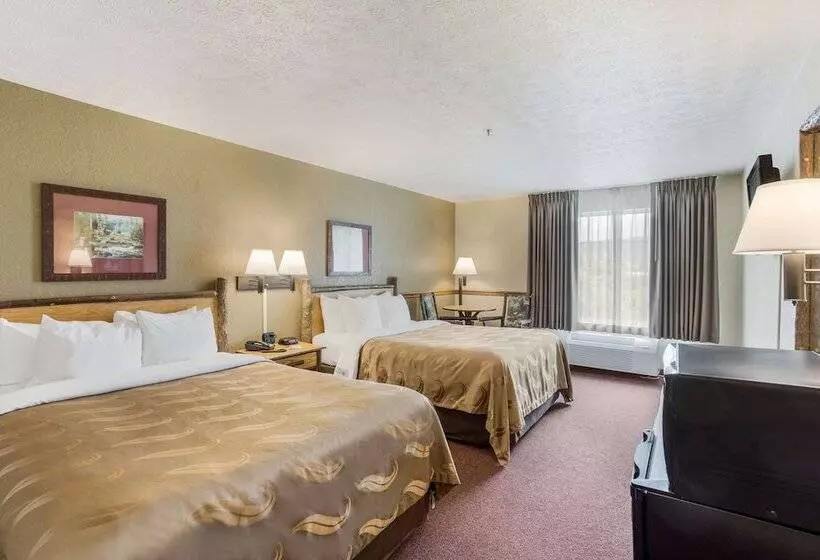 ホテル Quality Inn & Suites