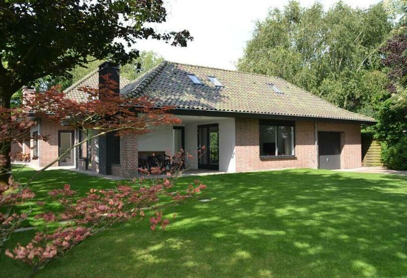 ペンション Fiddler S Hoorn