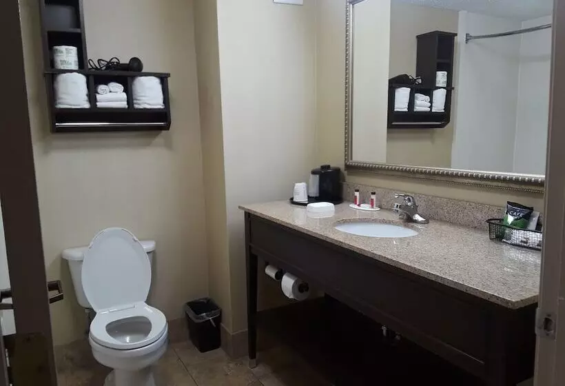 בית מלון כפרי Baymont By Wyndham Saraland