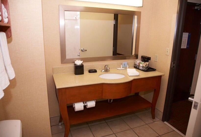 Hotel Hampton Inn And Suites Hobbs