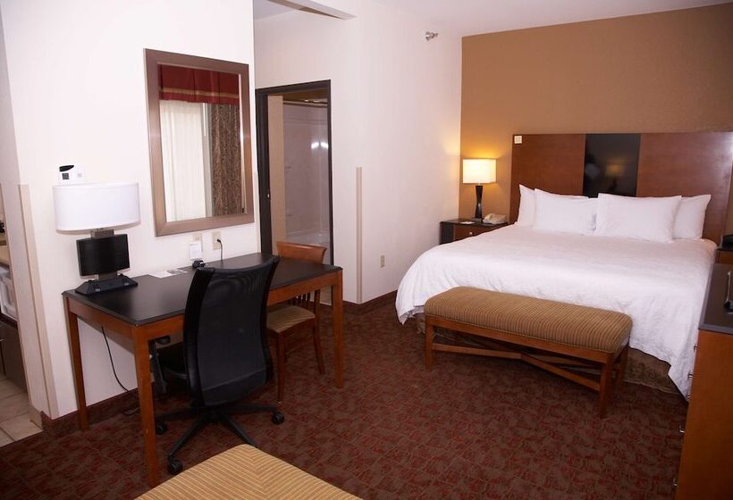 Hotel Hampton Inn And Suites Hobbs