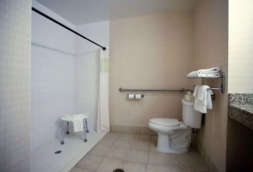 酒店 Hampton Inn Carrollton