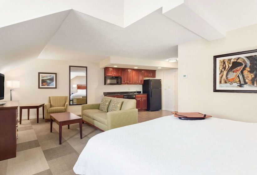 Otel Hampton Inn Colchester