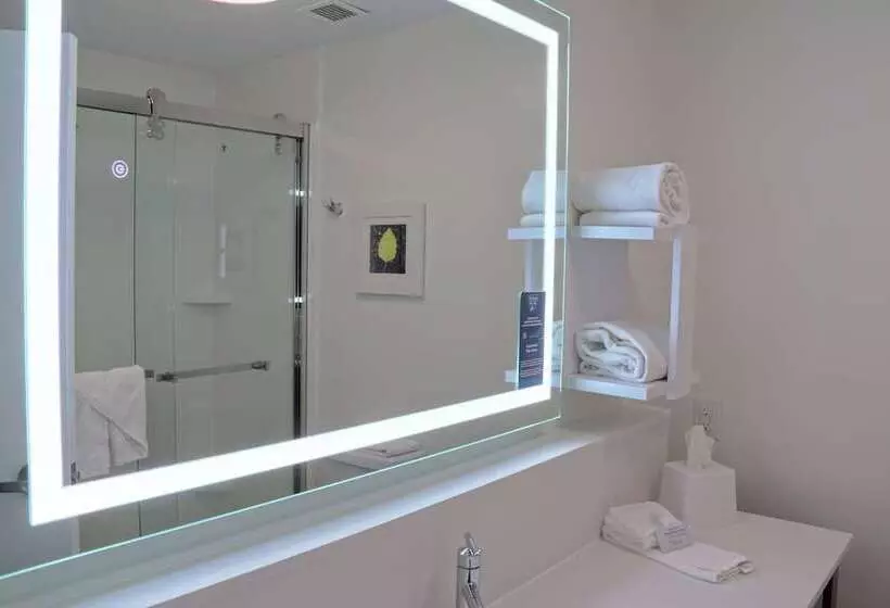 ホテル Hampton Inn Danville