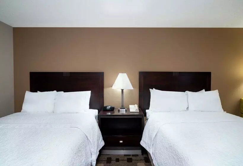 酒店 Hampton Inn Dublin