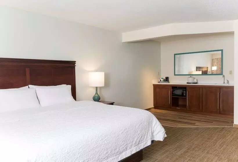 호텔 Hampton Inn East Lansing