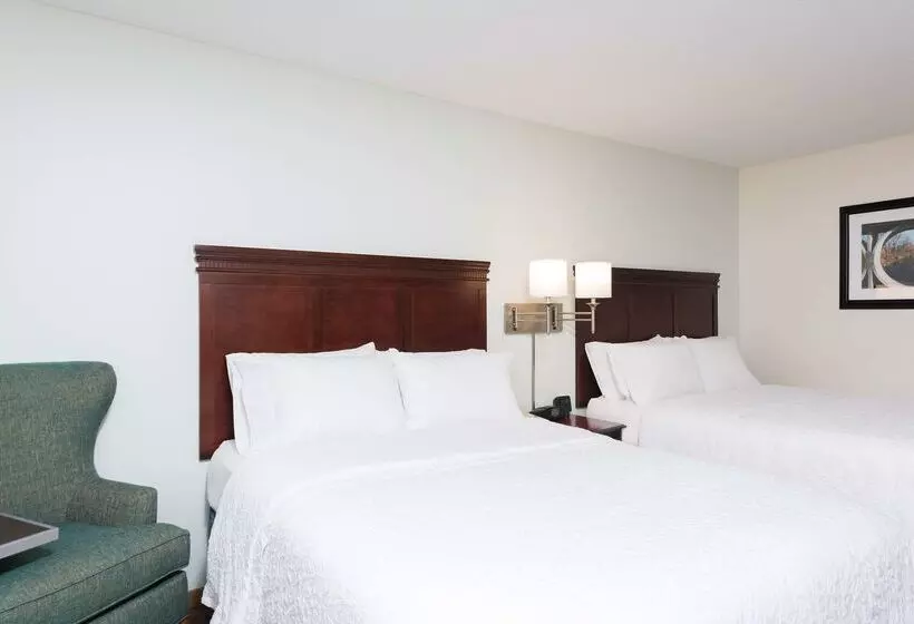 호텔 Hampton Inn East Lansing