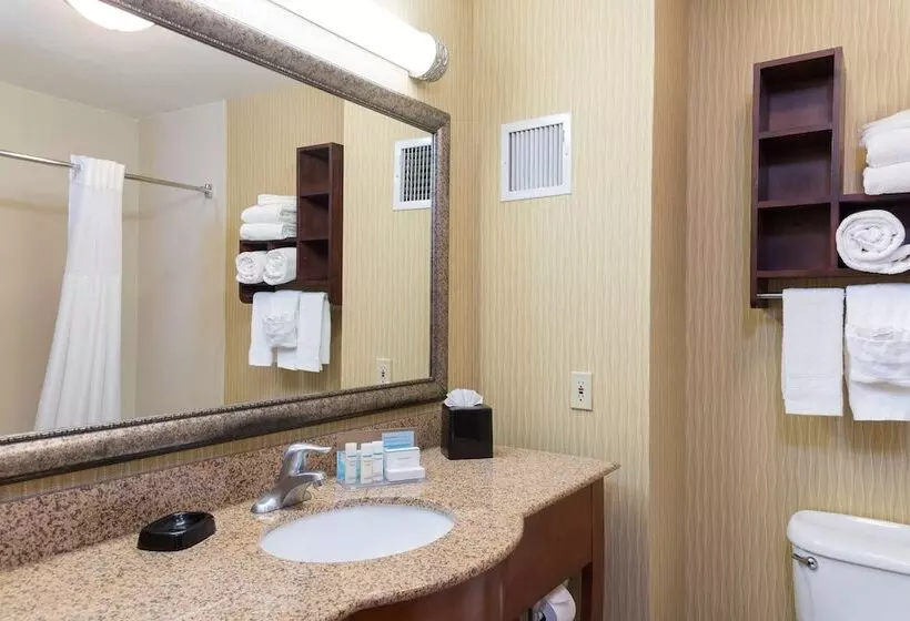 호텔 Hampton Inn East Lansing