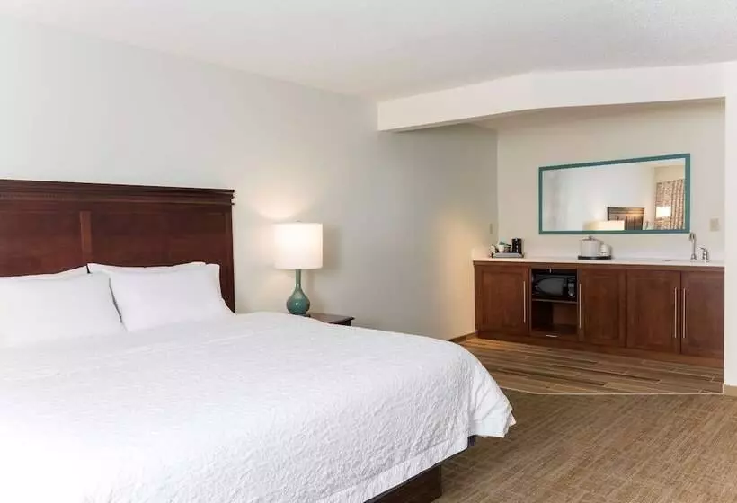 호텔 Hampton Inn East Lansing