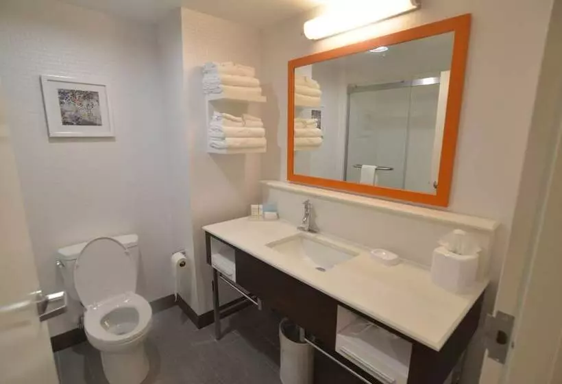 酒店 Hampton Inn Ft Payne