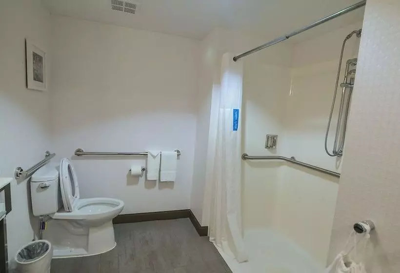 酒店 Hampton Inn Ft Payne