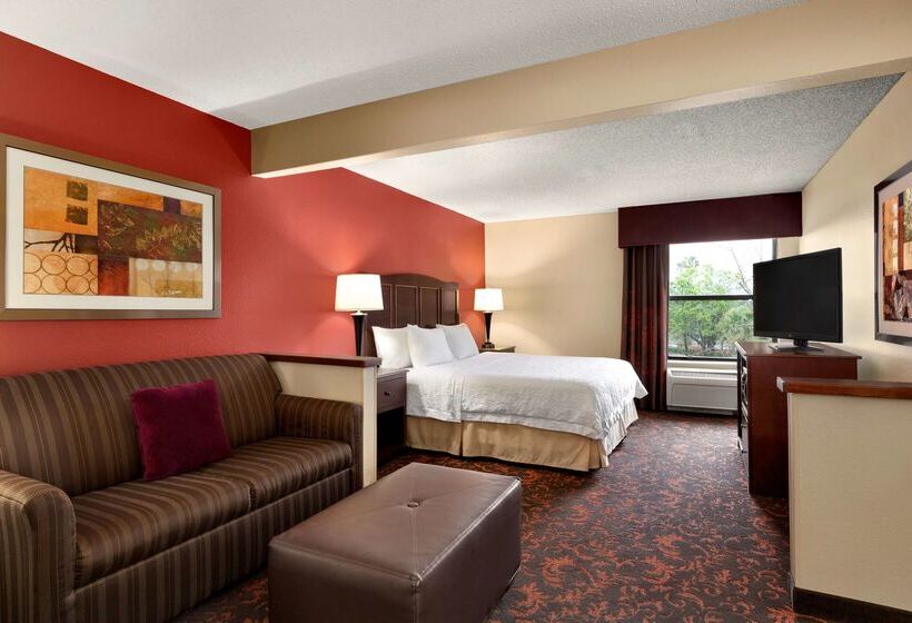 هتل Hampton Inn Houstonwillowbrook Mall