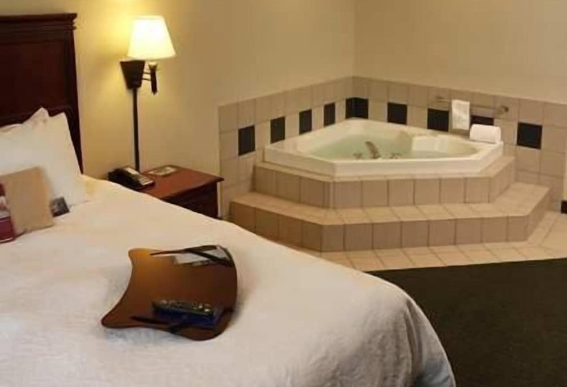 فندق Hampton Inn Ithaca