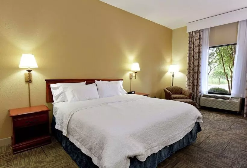 Szálloda Hampton Inn Selma