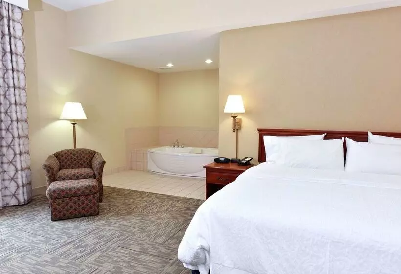 Szálloda Hampton Inn Selma