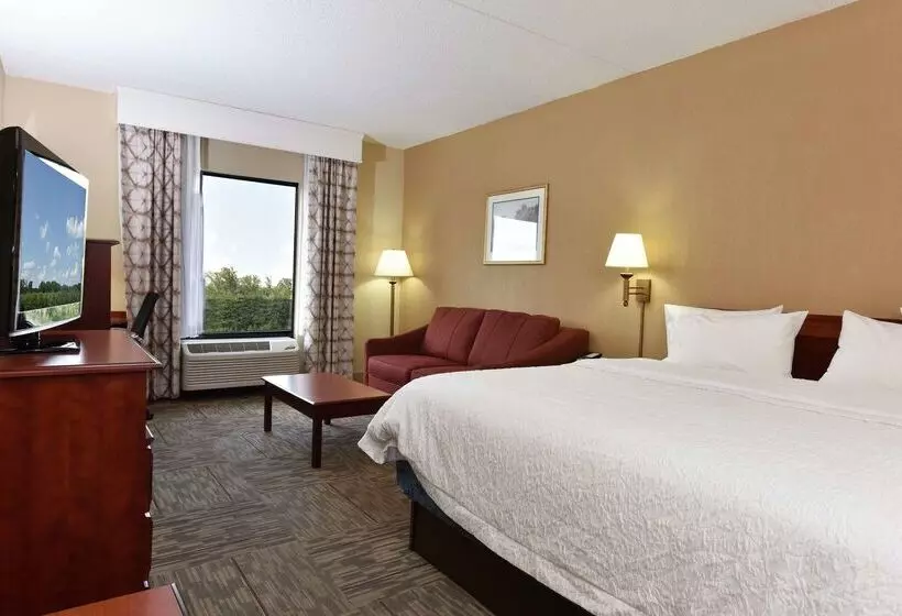 Szálloda Hampton Inn Selma