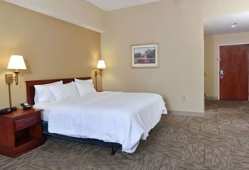 Szálloda Hampton Inn Selma