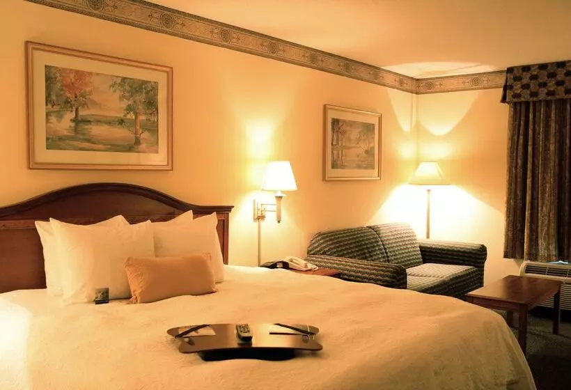 酒店 Hampton Inn & Suites Atlanta Airport North I85