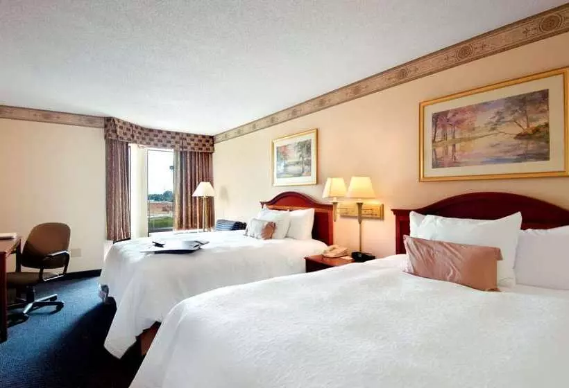 酒店 Hampton Inn & Suites Atlanta Airport North I85