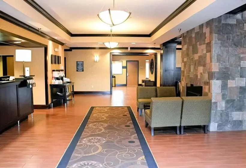 酒店 Hampton Inn & Suites Birminghampelham