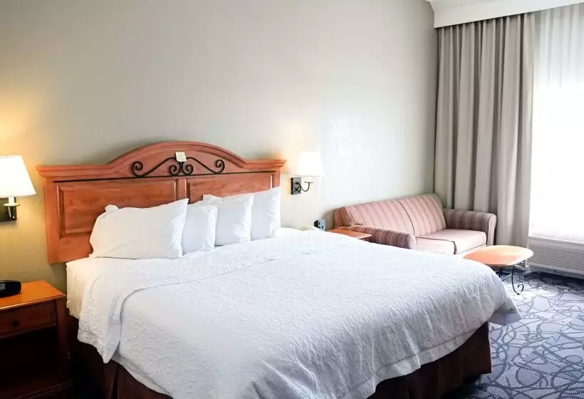 酒店 Hampton Inn & Suites Birminghampelham