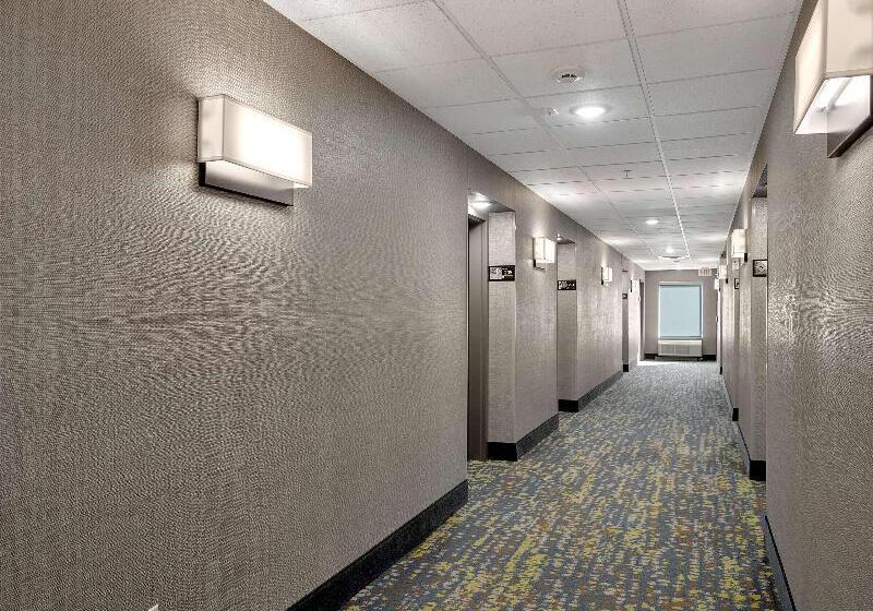 בית מלון כפרי Hampton Inn & Suites Lufkin, Tx