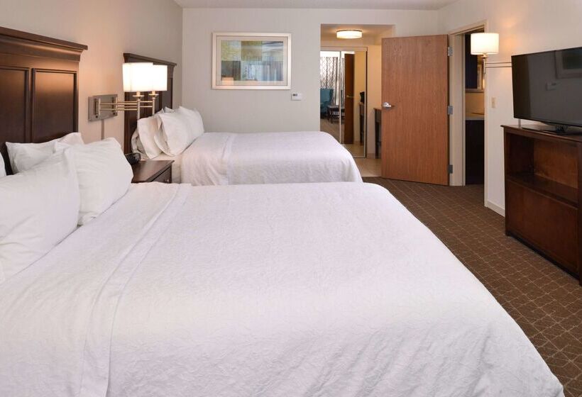 هتل Hampton Inn & Suites Pueblo Southgate