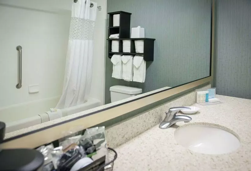 酒店 Hampton Inn & Suites St. Petersburg/downtown