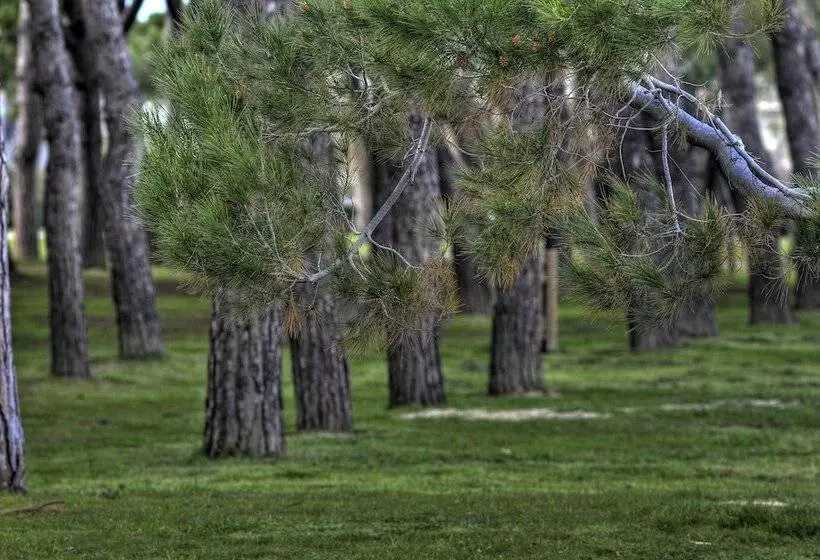 Отель Mare Blu Boutique