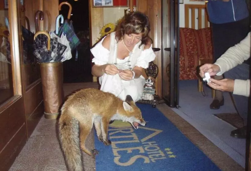 فندق Ortles Dolomiti Walking & Spa